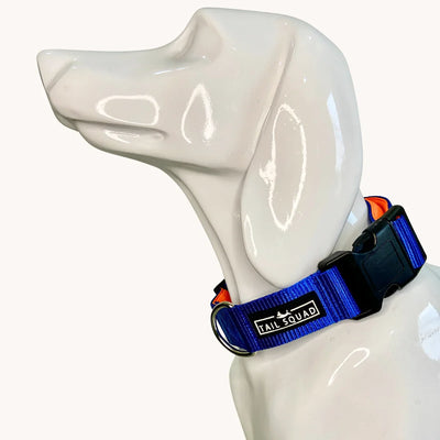 Tail Squad Dog Collar- Blue