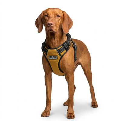 Tail Squad Adjustable Dog Full Body Harness (MUSTARD)
