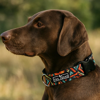 Tail Squad Printed Dog Collar- Abstract Black