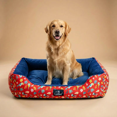 CK Washable Printed Lounger Dog Bed