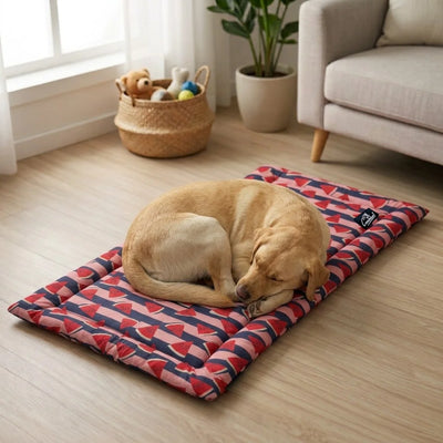 CK Dog and Cat Mat