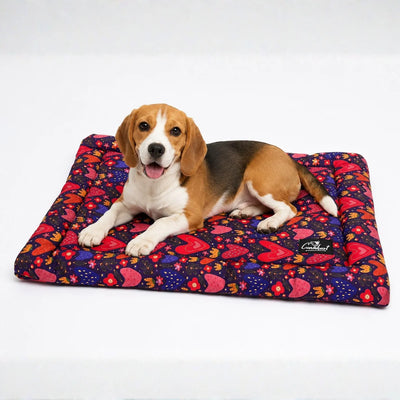 CK Washable Dog Mat