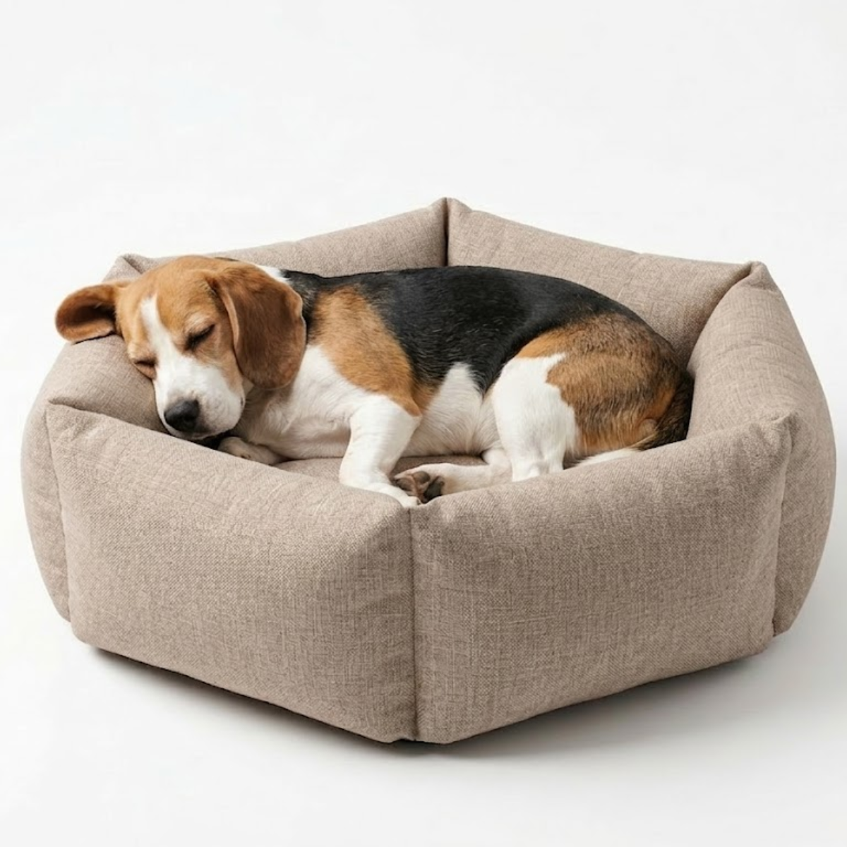 Tail Squad Washable Pawtagon Dog Bed - Beige