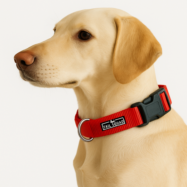 Tail Squad Dog Collar- Red - TAIL SQUAD
