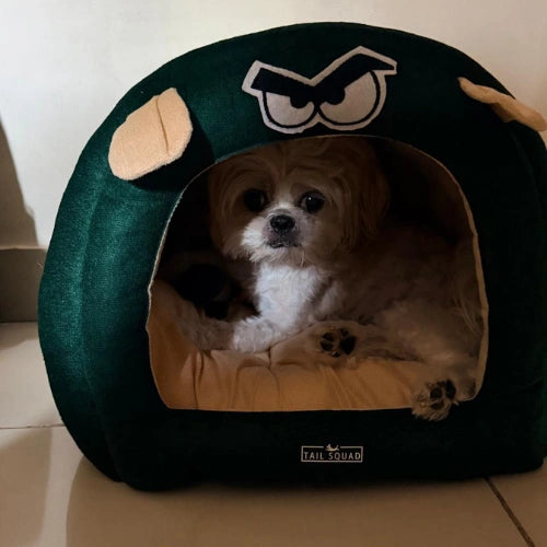 Dog sitting inside a Tail Squad Cone Dog house