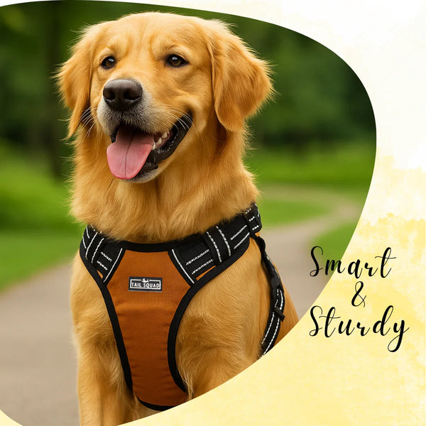 Tail Squad Adjustable Dog Full Body Harness (RUST) - TAIL SQUAD