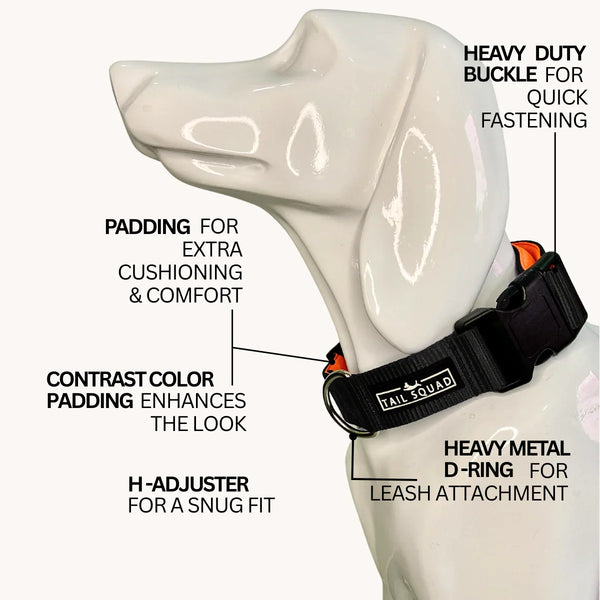 Dog Belt Online | Strong & Secure Dog Body Belt