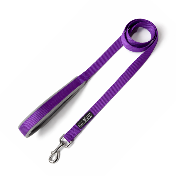 Tail Squad Dog Leash - Padded Handle