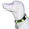 Tail Squad Reflective Dog Collar (Pack of 3) - TAIL SQUAD