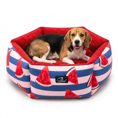 Watermelon Bliss  Fur Pawtagon Dog Beds