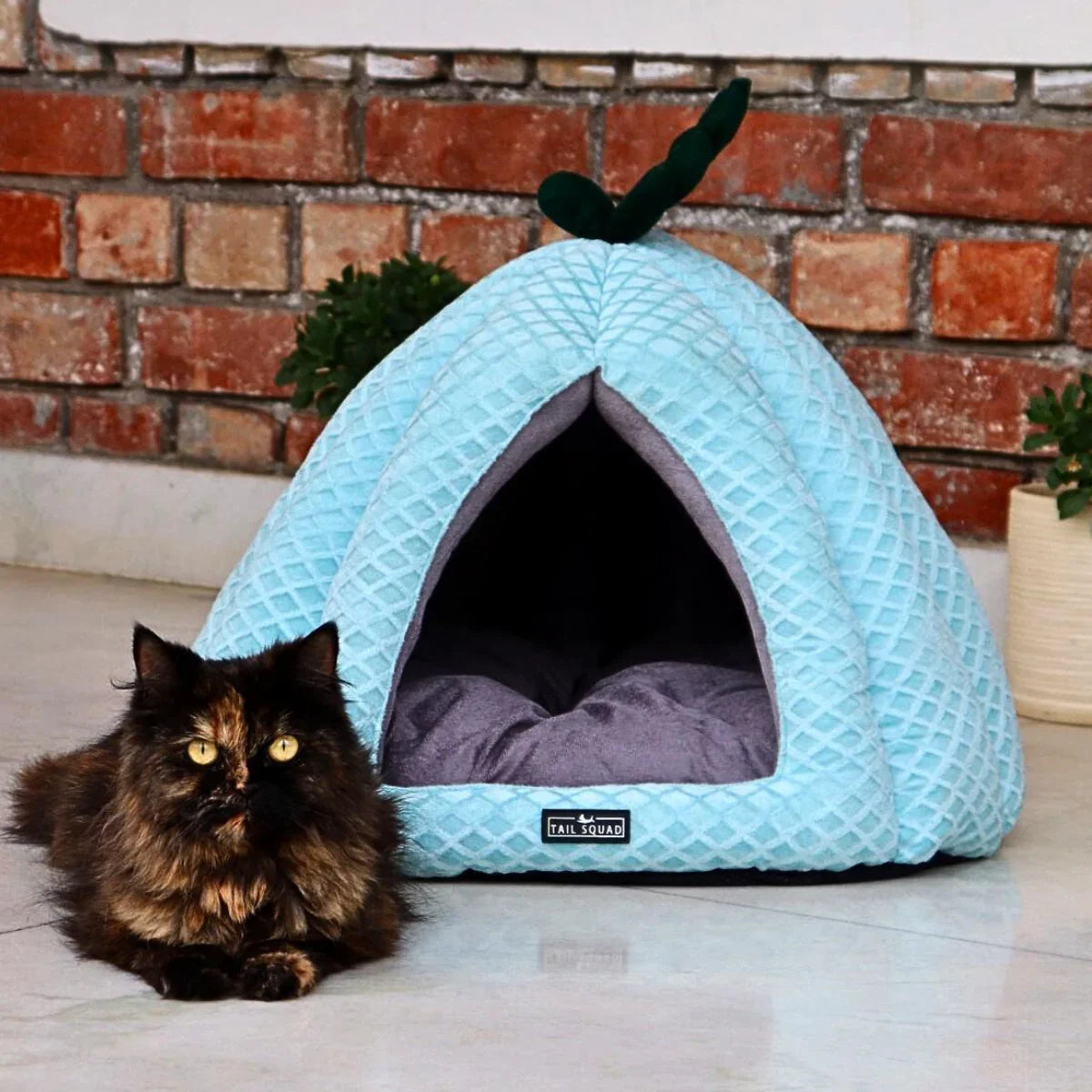 Tail Squad Premium Soft Pumpkin-Shaped Cat Hut (Ice Blue) - TAIL SQUAD