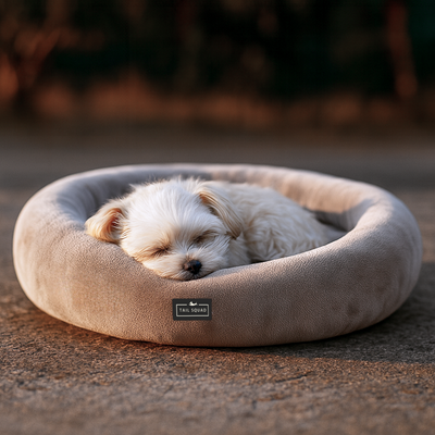 Tail Squad Round Bed for Dogs- Grey
