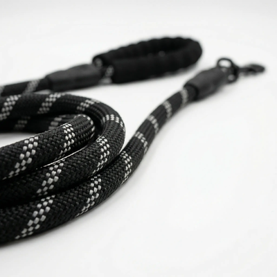 Tail Squad Reflective Rope Leash for Dogs - Black (15mm)