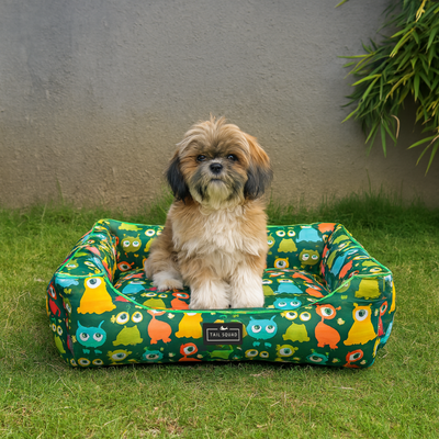 Tail Squad Washable Printed Lounger Bed for Dogs (Astro Sprout)
