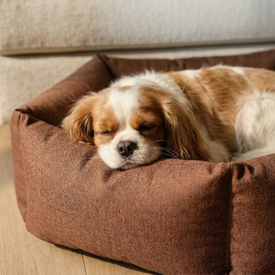 Tail Squad Washable Pawtagon Dog Bed - Chocolate