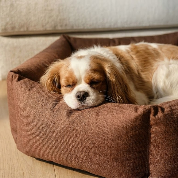 Tail Squad Washable Pawtagon Dog Bed - Chocolate