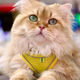 Flip Flap Cat Harness with Leash (Design May Vary)