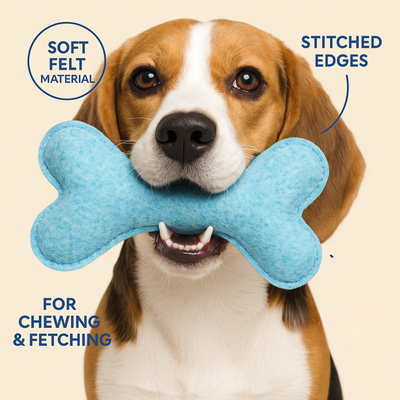 Tail Squad Eco-Friendly Felt Bone Toy For Dogs (Ice Blue)
