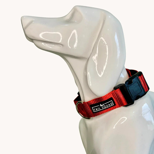 Tail Squad Dog Collar- Red - TAIL SQUAD