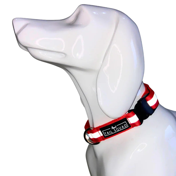 Tail Squad Reflective Dog Collar (Pack of 3) - TAIL SQUAD