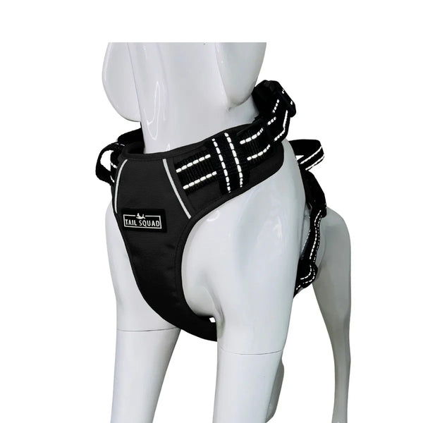 Tail Squad Adjustable Dog Full Body Harness (BLACK) - TAIL SQUAD