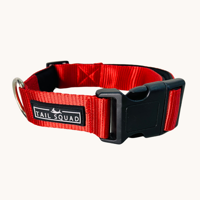 Tail Squad Dog Collar- Red