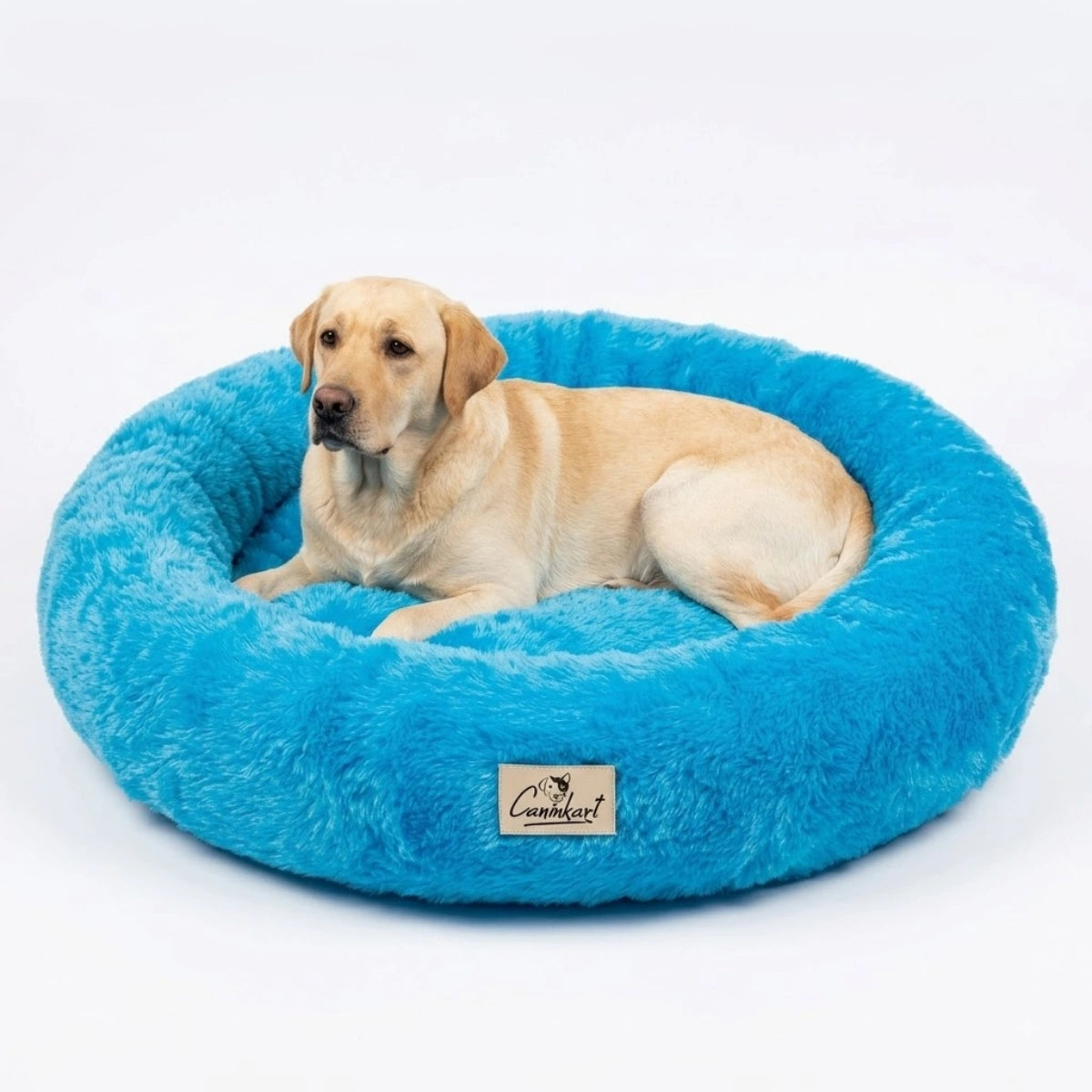 Tail Squad Soft Round Dog Bed – Sky Blue
