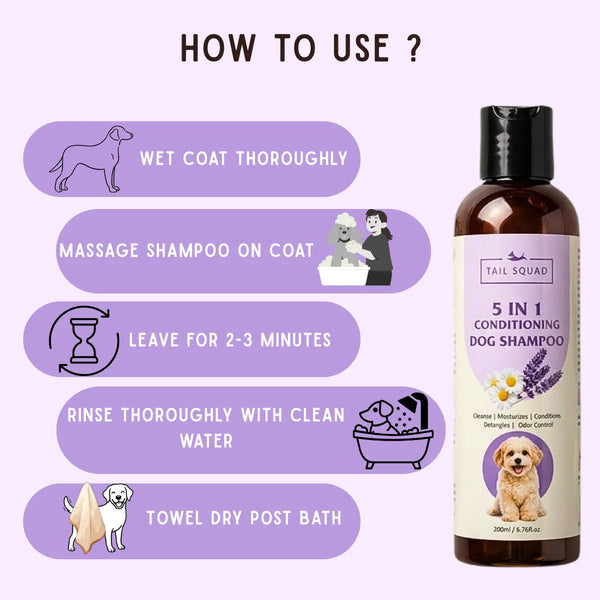 Step-by-step guide on how to use 5-in-1 shampoo for best coat care results.