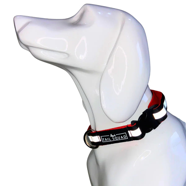 Tail Squad Reflective Dog Collar (Pack of 3) - TAIL SQUAD