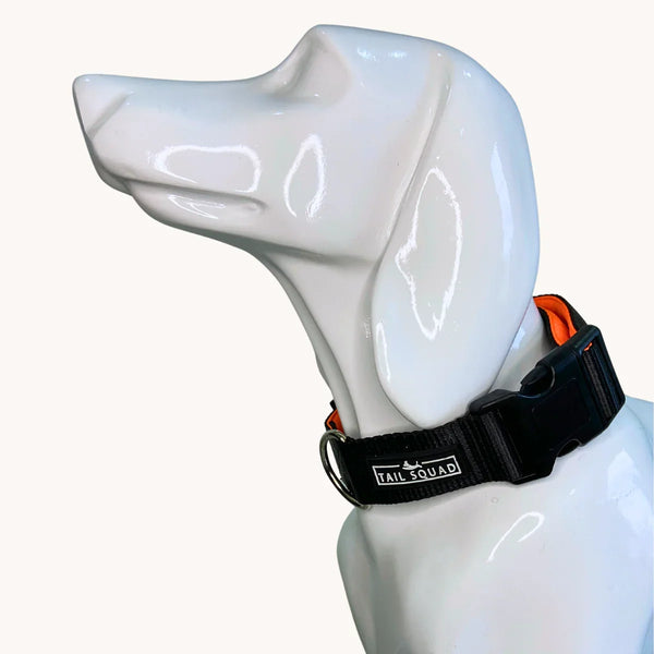 Dog Belt Online | Strong & Secure Dog Body Belt