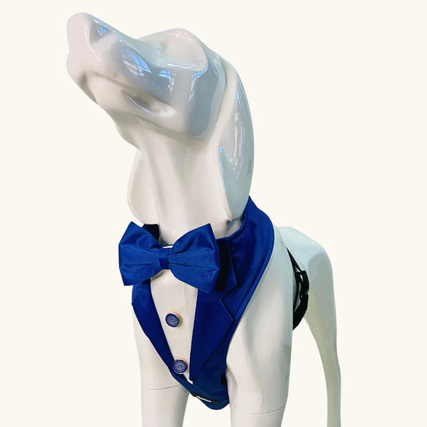Tail Squad Designer Dog Tuxedo Harness (BLUE) - TAIL SQUAD
