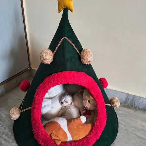 Puppu sleeping inside a tail squad christmas cone hut