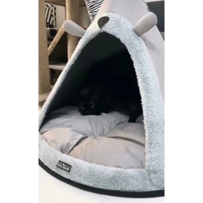 Tail Squad on Instagram