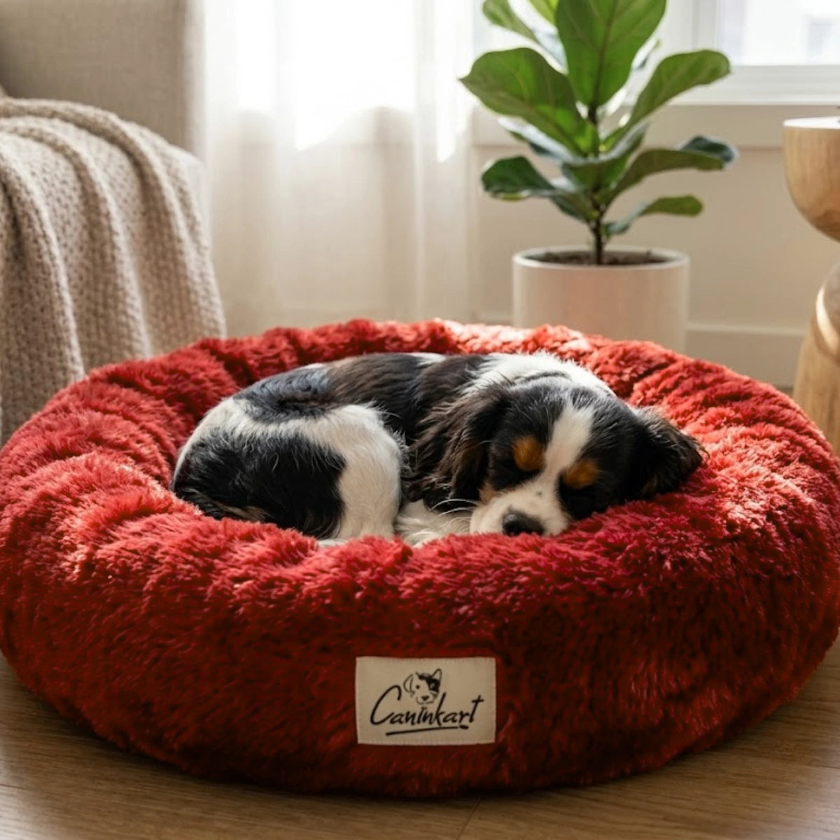 Tail Squad Soft Round Dog Bed – Maroon