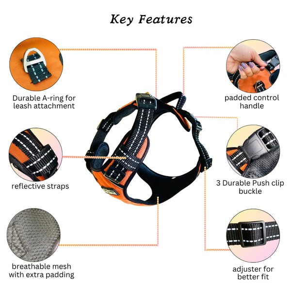 Tail Squad Adjustable Dog Full Body Harness (RUST) - TAIL SQUAD