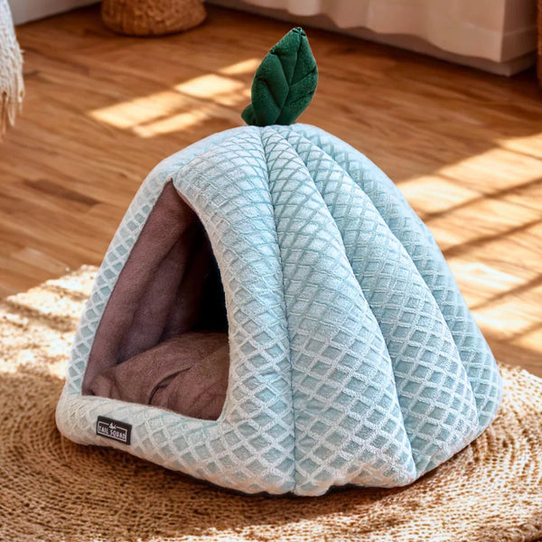 Tail Squad Premium Soft Pumpkin-Shaped Cat Hut (Ice Blue) - TAIL SQUAD