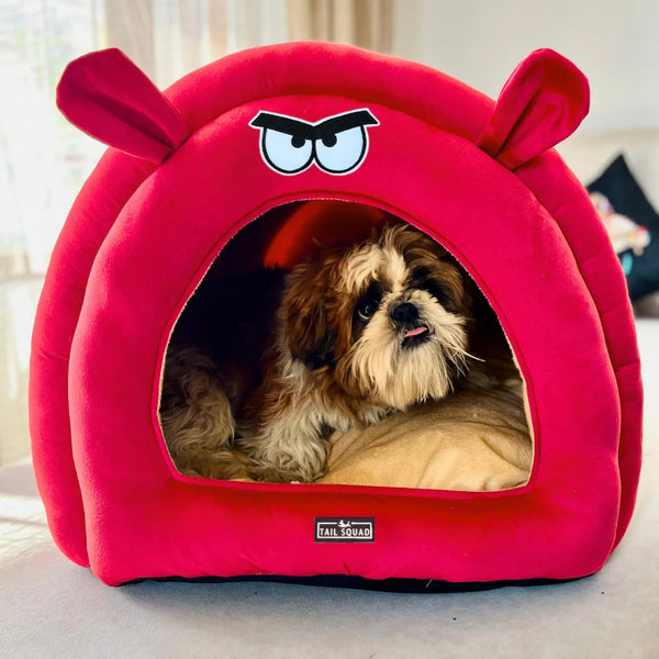 Tail Squad Caterpillar Hut for Dogs and Cats