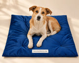 Dog Mat For Stray Dogs