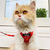 Flip Flap Cat Harness with Leash (Design May Vary)