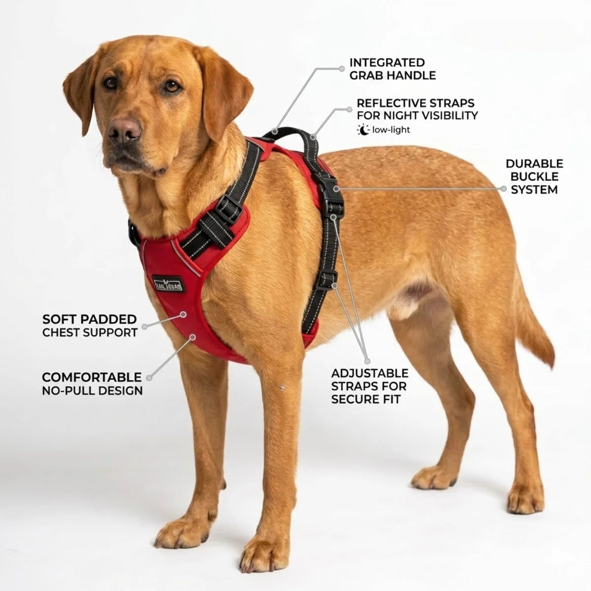 Feature highlight of the Tail Squad Adjustable Dog Full Body Harness in red color showing its adjustable and secure design