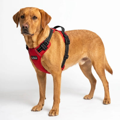 Tail Squad Adjustable Dog Full Body Harness (RED)