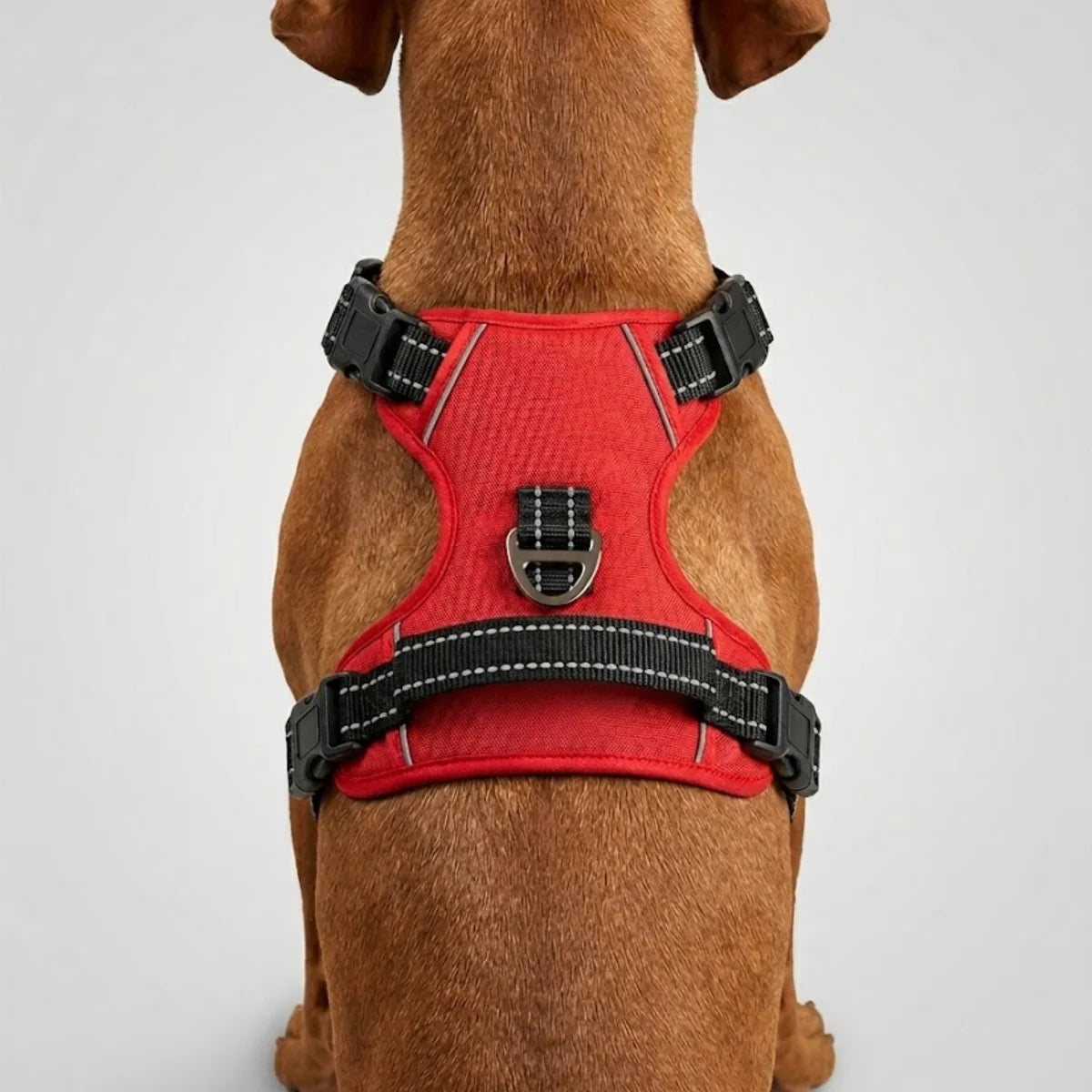 Top angle view of Tail Squad Red dog harness showing adjustable straps and heavy-duty leash attachment design