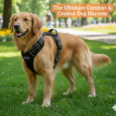 Tail Squad Adjustable Dog Full Body Harness (BLACK)
