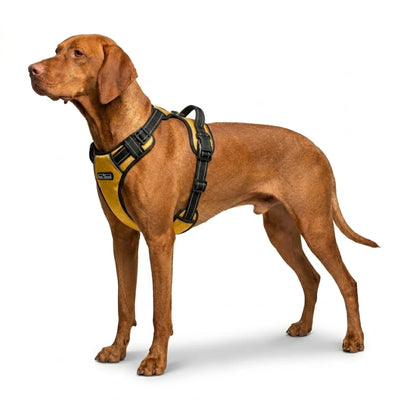 Tail Squad Adjustable Dog Full Body Harness (MUSTARD)