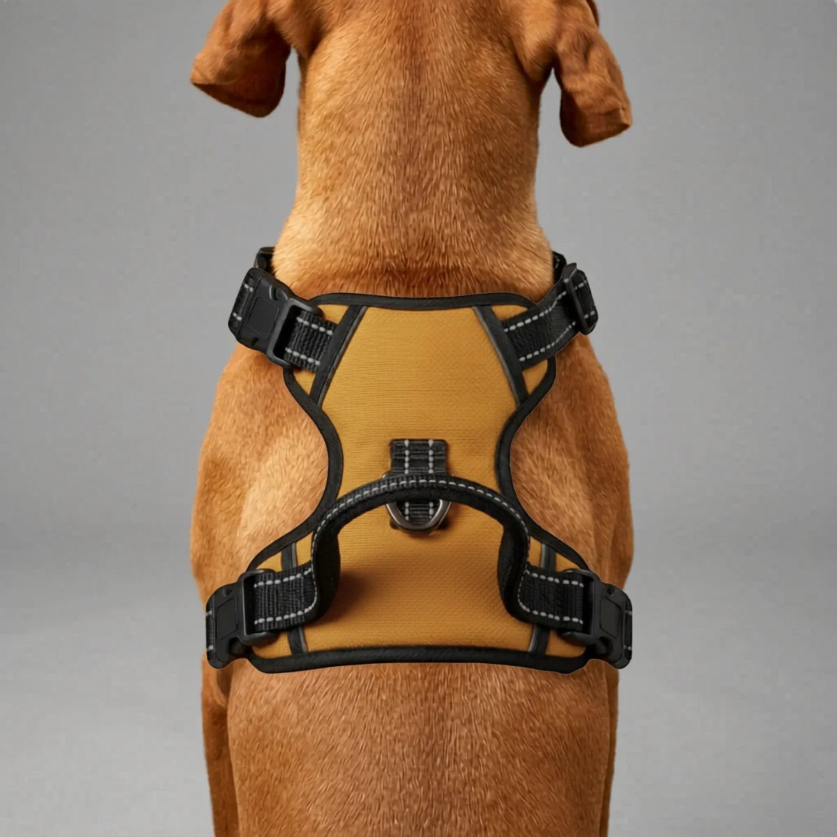 Tail Squad Adjustable Dog Full Body Harness (MUSTARD) size chart guide for choosing the right dog harness size based on chest and neck measurements for small, medium, and large dogs.