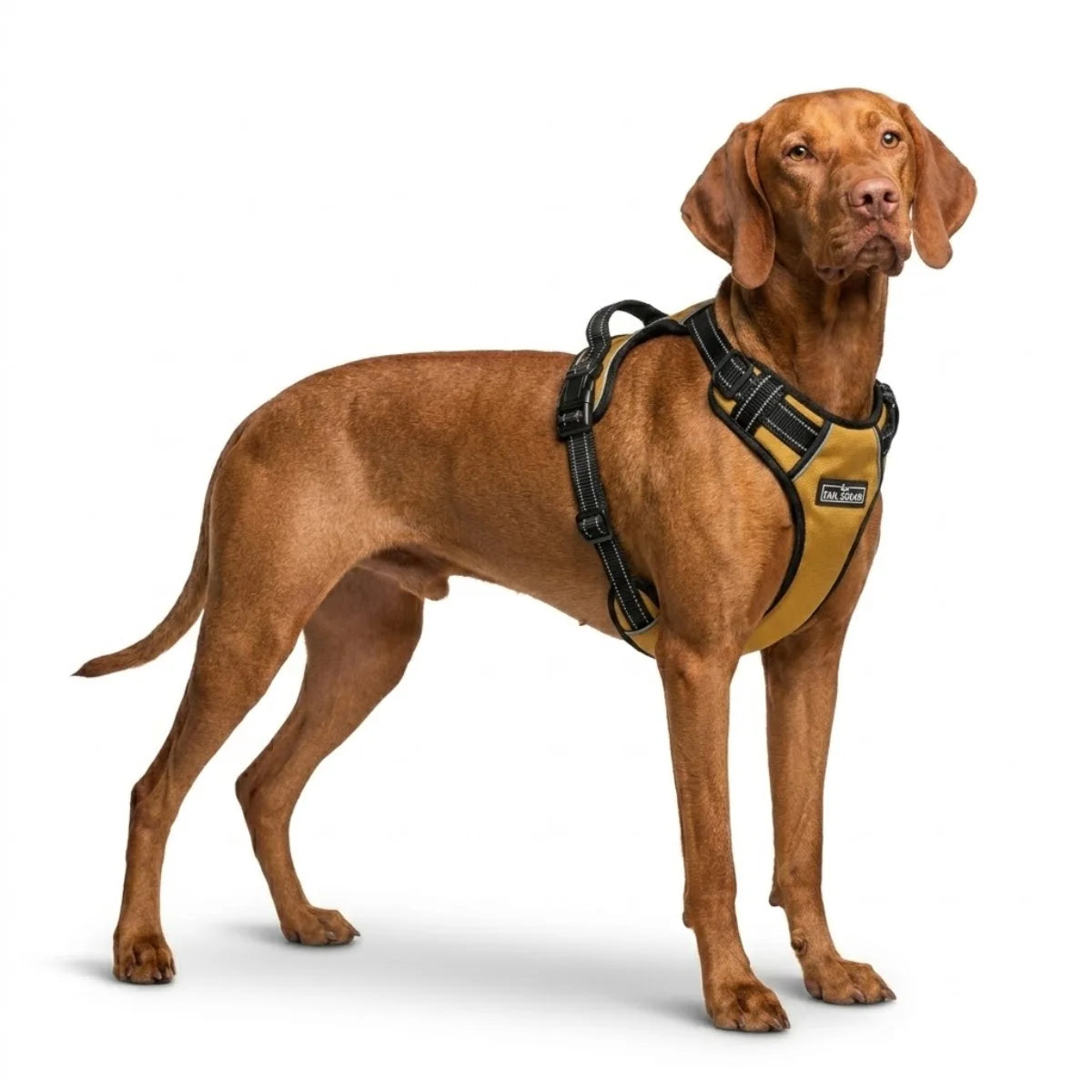 Left Side view of Tail Squad Adjustable Dog Full Body Harness (MUSTARD) showcasing adjustable straps, ergonomic design, breathable padded dog harness, and secure leash attachment
