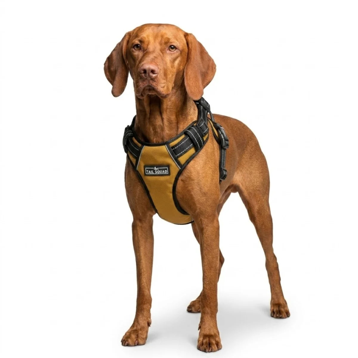 Tail Squad Adjustable Dog Full Body Harness (MUSTARD) front view – durable adjustable no-pull dog harness with secure chest straps and comfortable full body fit for dogs.