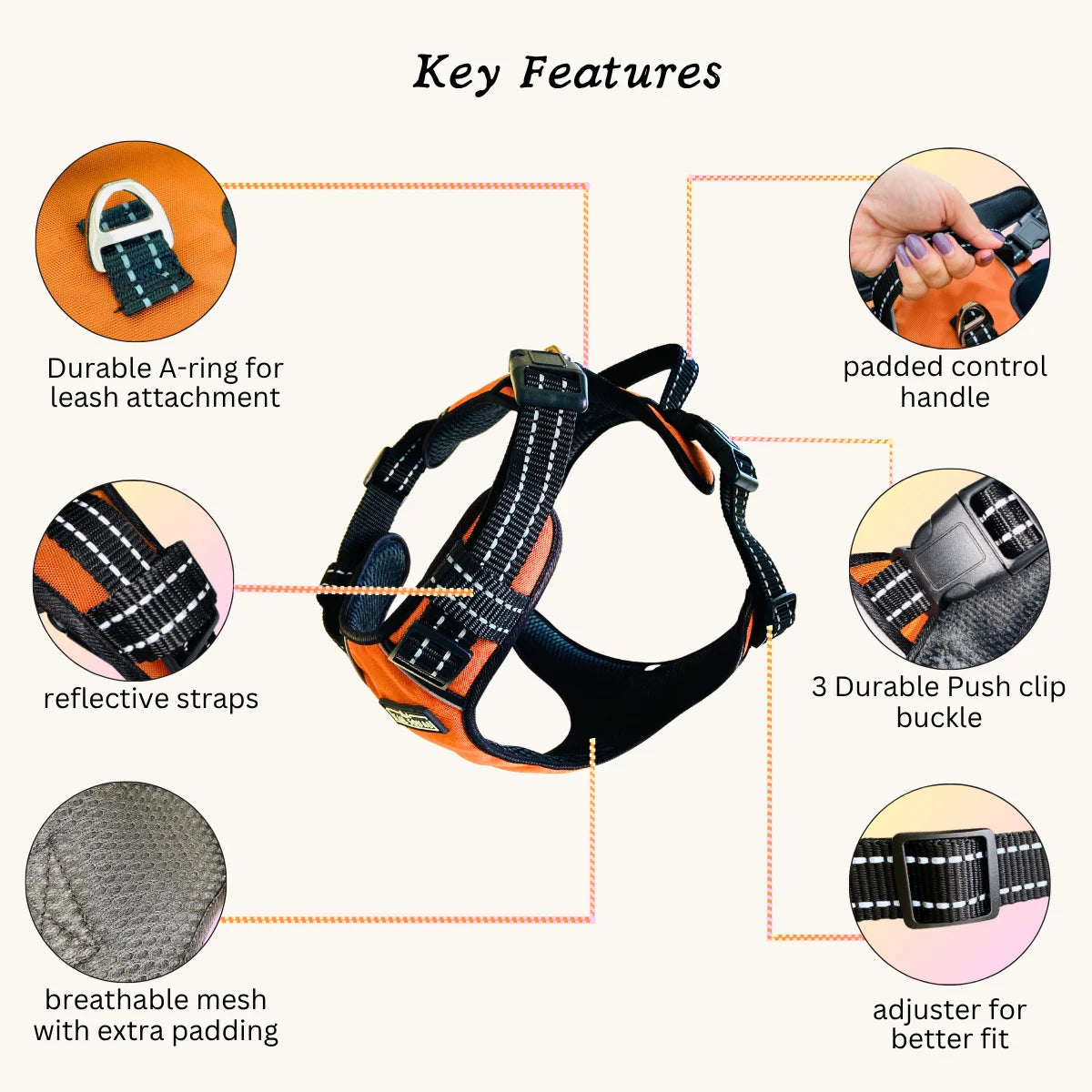 Key Features of Tail Squad Rust dog harness with reinforced stitching, sturdy hardware, and adjustable comfort fit for dogs