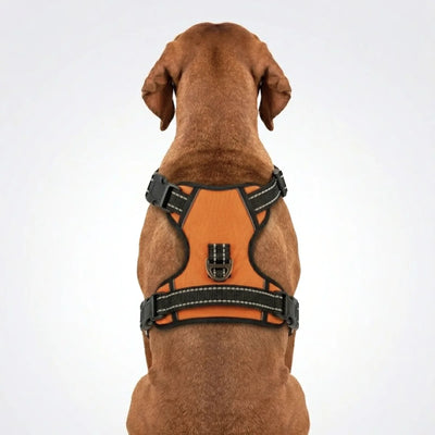 Tail Squad Adjustable Dog Full Body Harness (RUST)