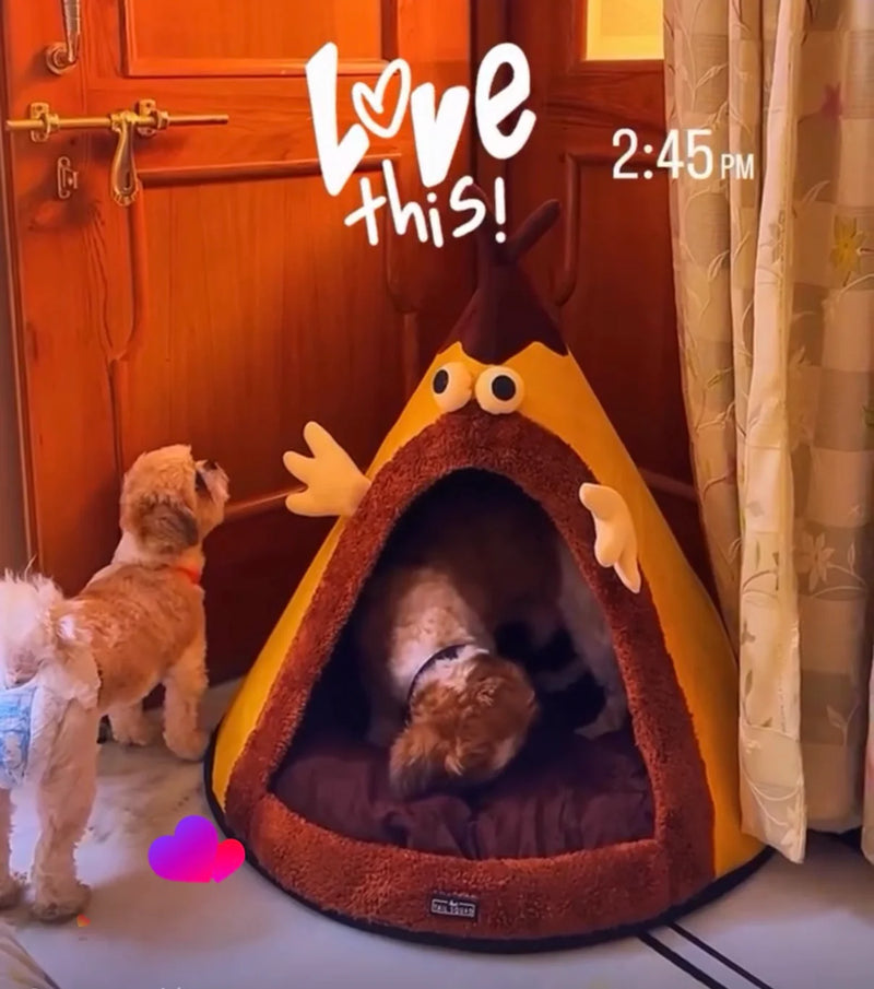 Dog sitting inside a Tail Squad Cone Dog house